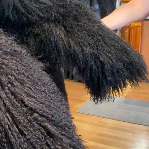 Jacket - Picture 4 of 4